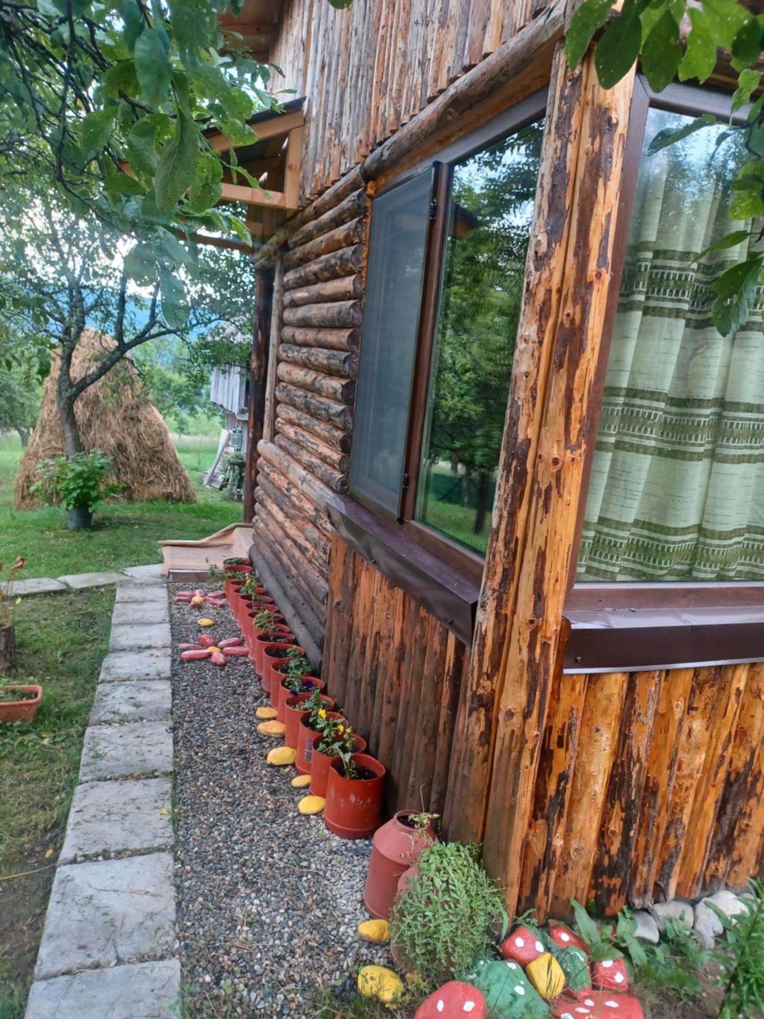 Casa Sara Nucsoara Hotel Exterior foto